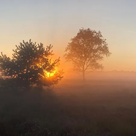 The Miller's * Rijkevoort