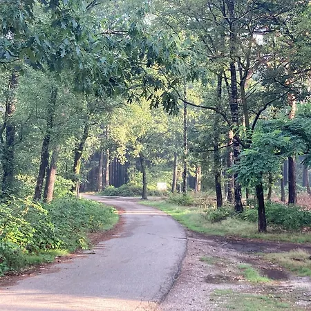 別荘 The Miller's Rijkevoort