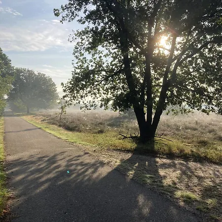 The Miller's Сasa de vacaciones *