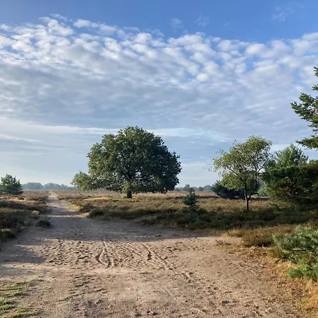 The Miller's Rijkevoort