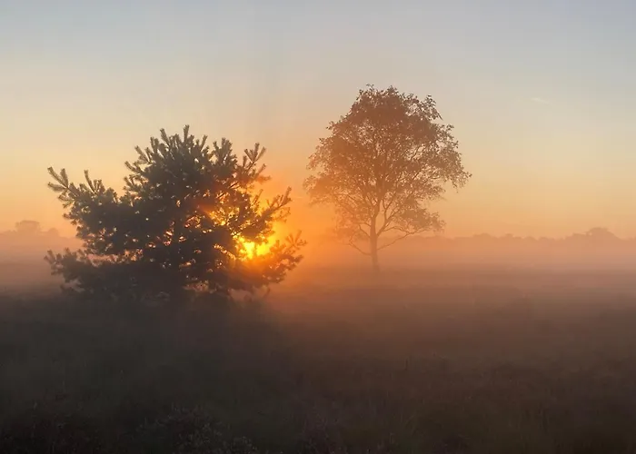 The Miller's * Rijkevoort