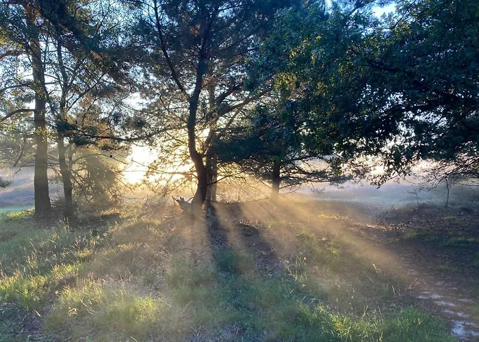 Vakantiehuis The Miller's Rijkevoort