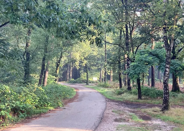 Vakantiehuis The Miller's Rijkevoort