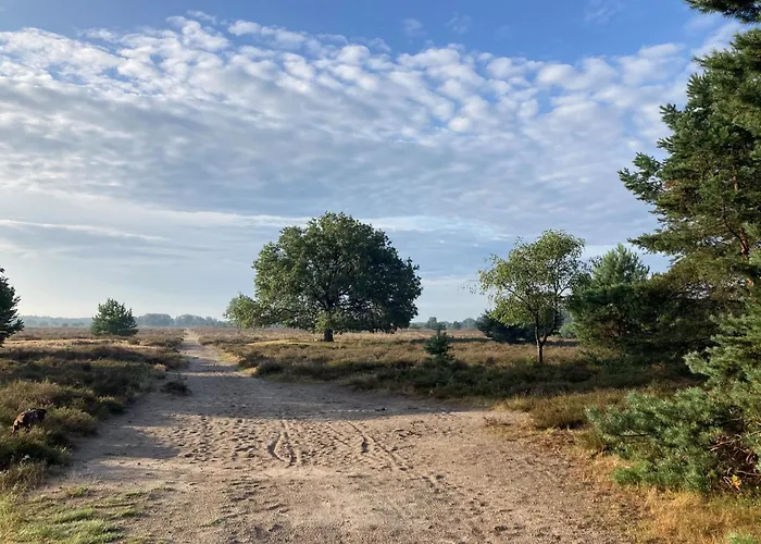 The Miller's Rijkevoort