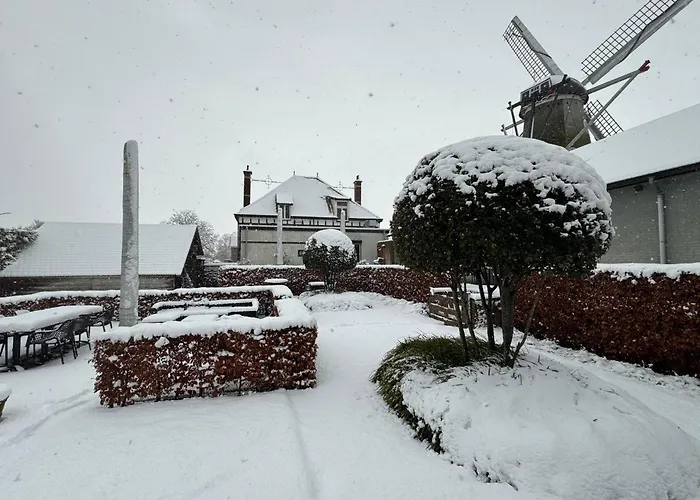 Vakantiehuis The Miller's